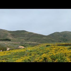 Meet your Posher, Hang